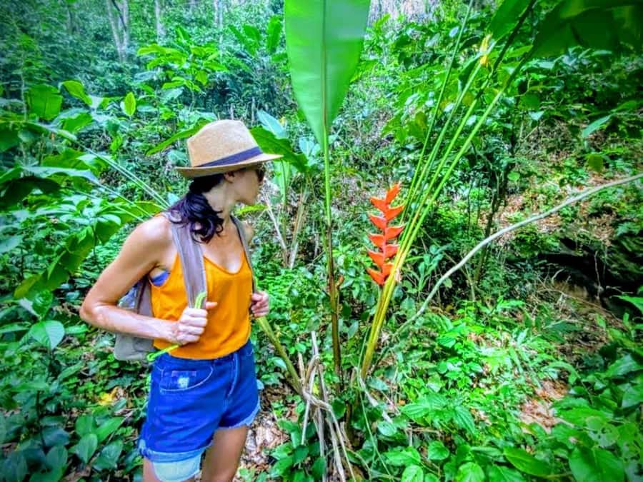 Rio de Janeiro Nature Secrets 'The Eco Citytour' - Is $69 a fair price?