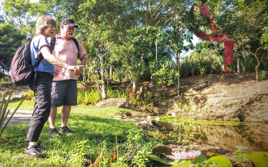 Rio de Janeiro Nature Secrets 'The Eco Citytour' - A short break in Barra da Tijuca
