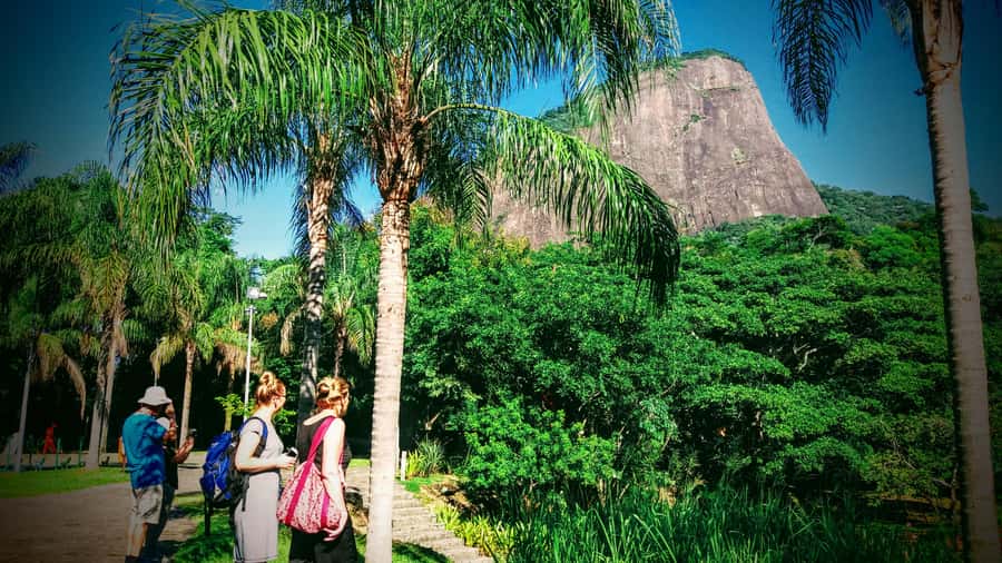 Rio de Janeiro Nature Secrets 'The Eco Citytour' - Dois Irmãos gives you the first big view