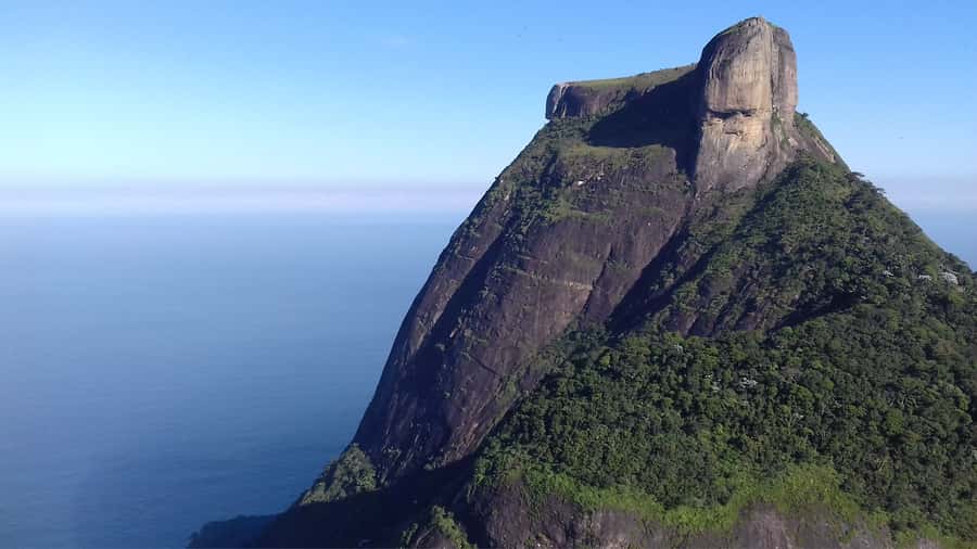 Rio de Janeiro: Pedra da Gavea Adventure Hike - The first 2.5 hours through Tijuca Forest