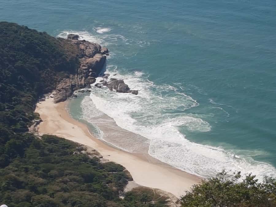 Rio de Janeiro: Pedra do Telegrafo Hike & Grumari Beach Tour - Practical booking advice for the six-hour schedule