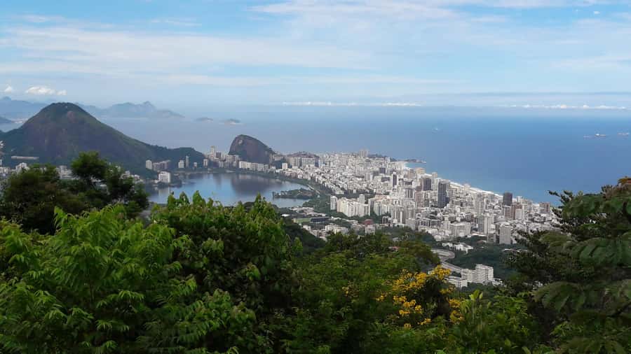 Rio de Janeiro: Private Day Tour with lunch - The Kobra mural and Rio’s changing port district