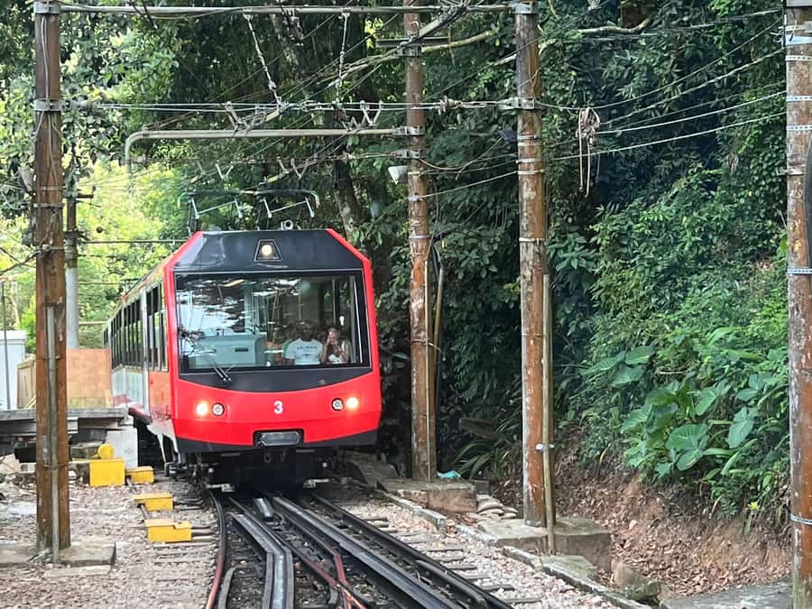Rio de Janeiro: Private Full-Day Highlights Tour - Corcovado train through Tijuca National Park