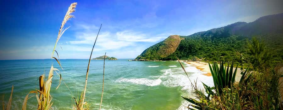 Rio de Janeiro Secluded Beaches: Hike+Swim Prainha & Grumari - Starting at Prainha Beach