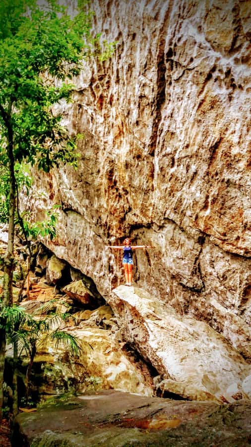 Rio de Janeiro: Tijuca Forest Challenge Hike Full-Day Trip - The main climb toward Taquara Hill