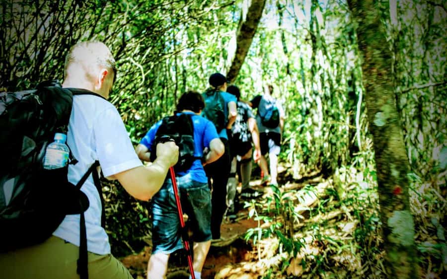 Rio de Janeiro: Tijuca Forest Challenge Hike Full-Day Trip - Taquara Hill and the two big views