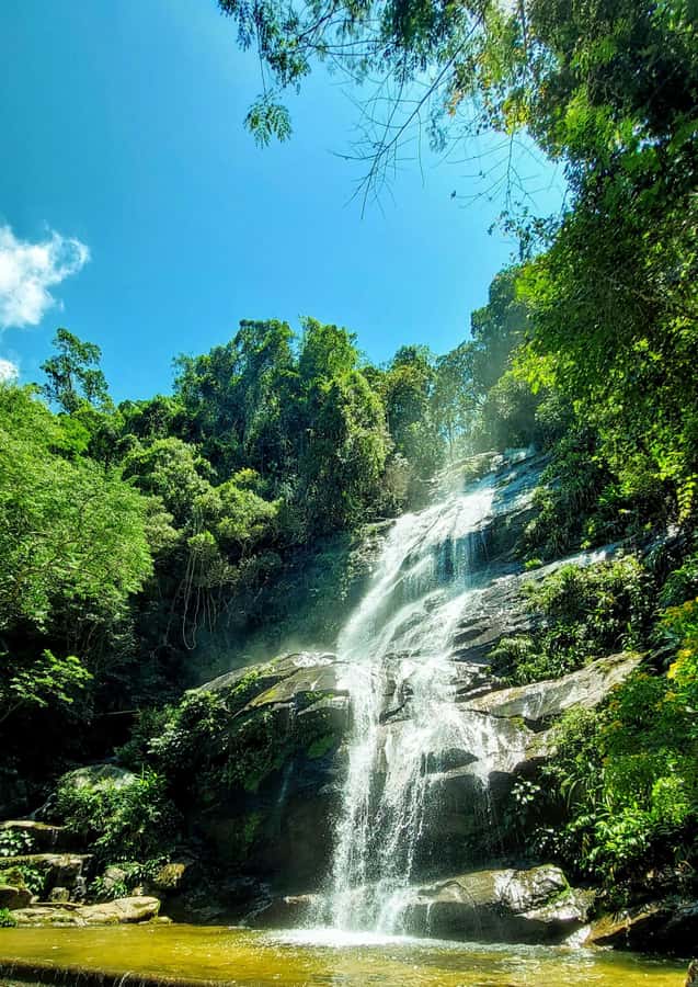 Rio de Janeiro: Tijuca Forest Challenge Hike Full-Day Trip - The old coffee farm and the quieter trail