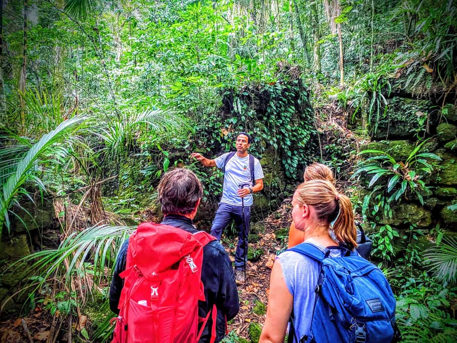 Rio de Janeiro: Tijuca Forest Challenge Hike Full-Day Trip - Grottos, the Bat Cave, and a different kind of adventure