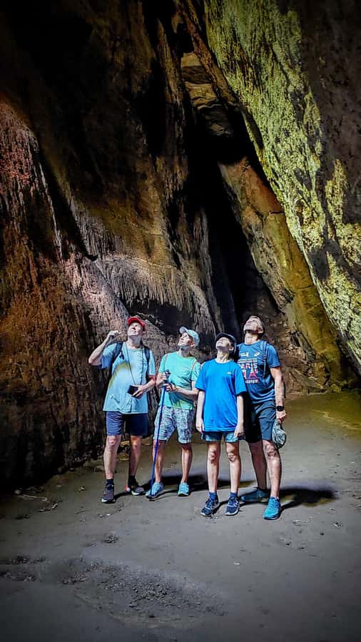 Rio de Janeiro: Tijuca Forest Challenge Hike Full-Day Trip - Pickup from Rio’s South Zone