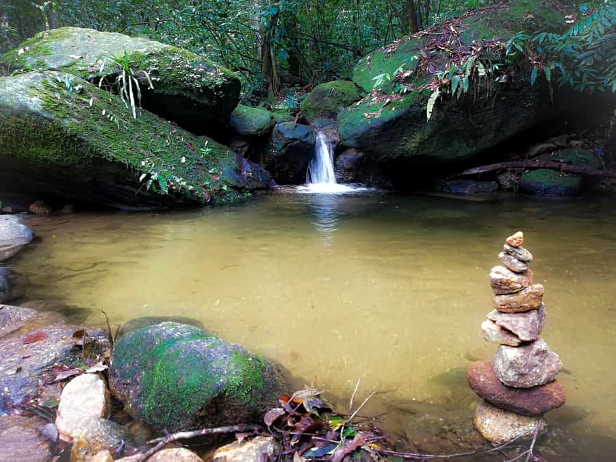 Rio de Janeiro: Tijuca Forest Waterfall of Souls Hike - Who should book this hike?