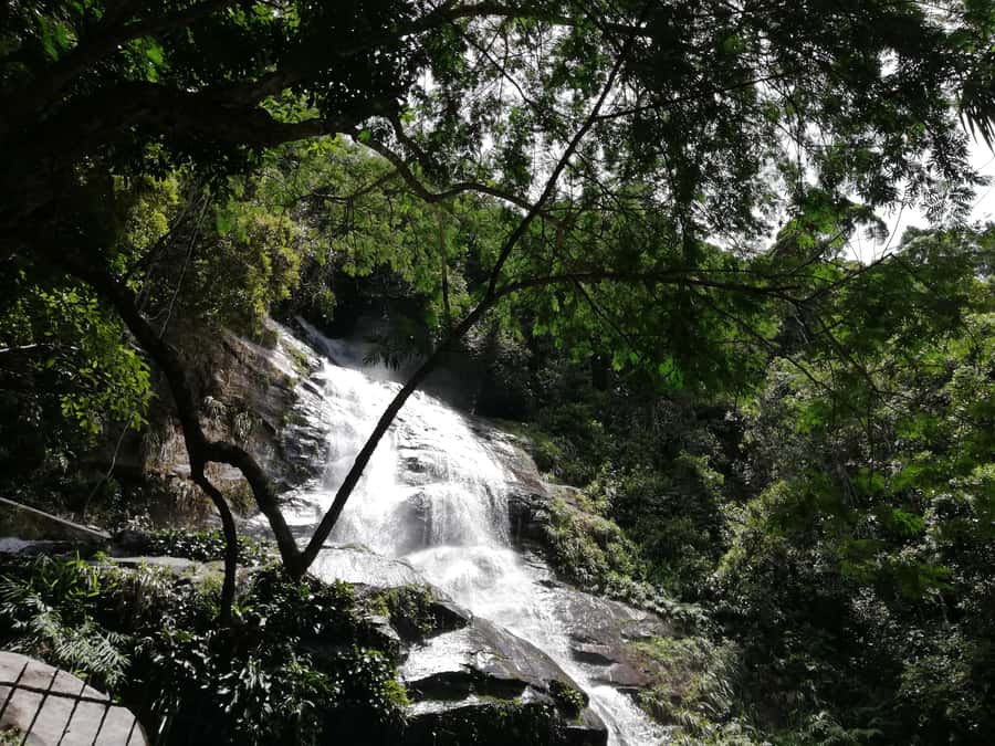 Rio de Janeiro: Tijuca Forest Waterfall of Souls Hike - Cascata Taunay and the waterfall circuit
