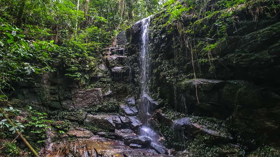 Rio de Janeiro: Tijuca Forest Waterfall of Souls Hike - Getting from Estrada da Cascatinha to the trail