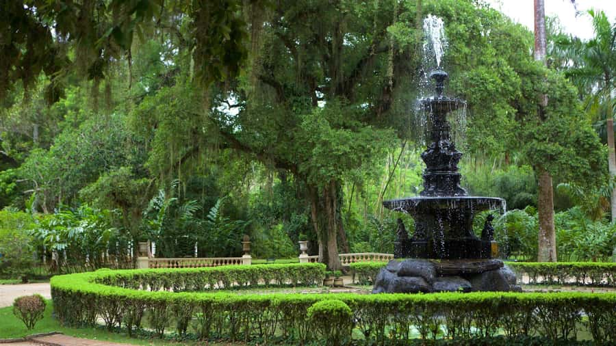 Rio de Janeiro: Tijuca National Park & Botanic Garden Tour - FAQ