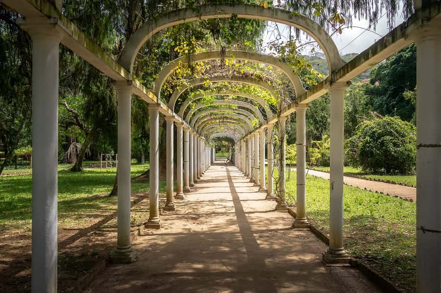 Rio de Janeiro: Tijuca National Park & Botanic Garden Tour - Hotel pickup keeps the morning simple