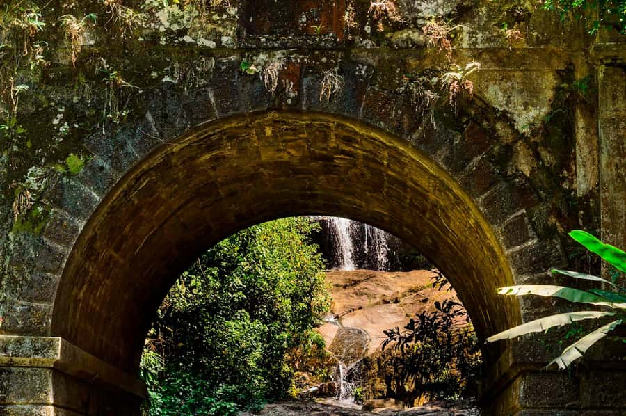 Rio de Janeiro: Tijuca National Park & Botanic Garden Tour - When weather or closures change the plan