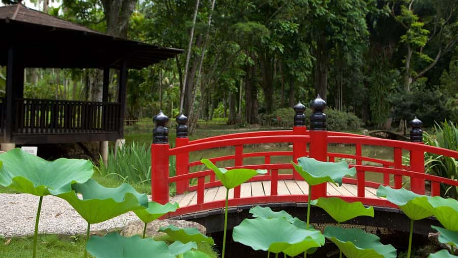Rio de Janeiro: Tijuca National Park & Botanic Garden Tour - Who will get the most from this tour