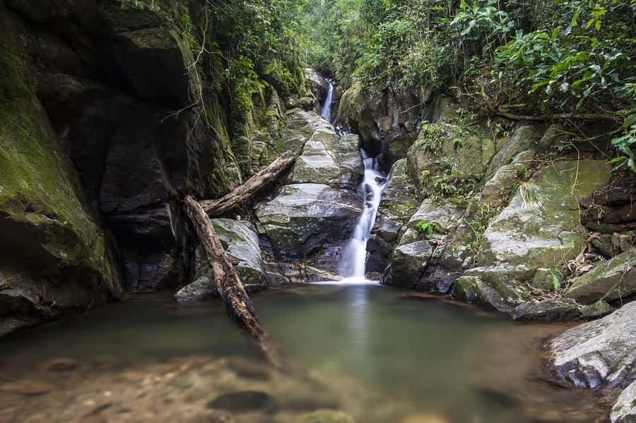 Rio de Janeiro: Tijuca National Park & Botanic Garden Tour - Vista Chinesa: Rio from the forest