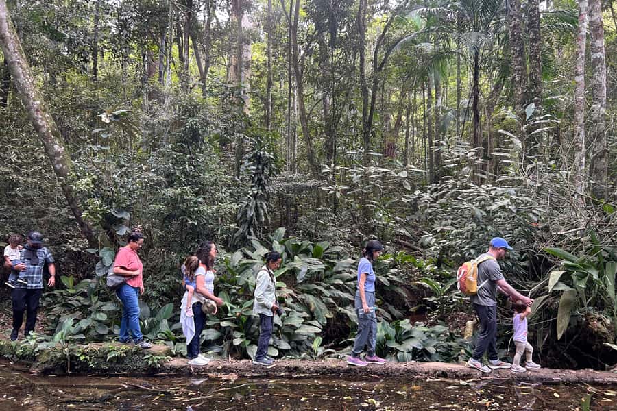 Rio de Janeiro: Tijuca National Park Tour - Key points to know before you book