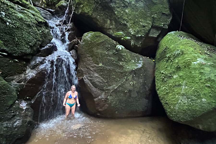 Rio de Janeiro: Tijuca National Park Tour - The guides are a major part of the value