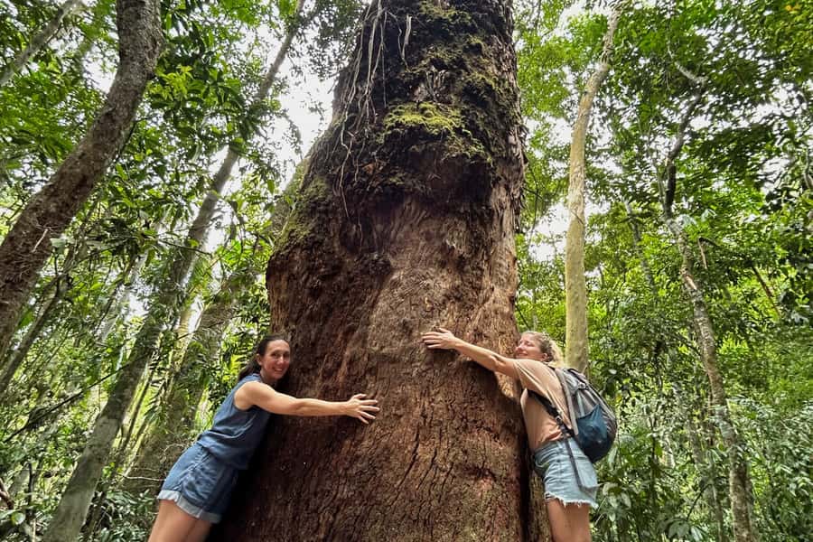 Rio de Janeiro: Tijuca National Park Tour - The first viewpoint gives you a quick change of scene