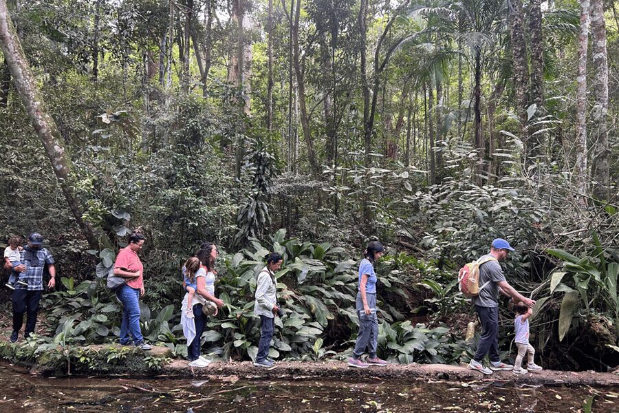 Rio de Janeiro: Tijuca National Park Tour - A Floresta and Gruta dos Morcegos vary the walk