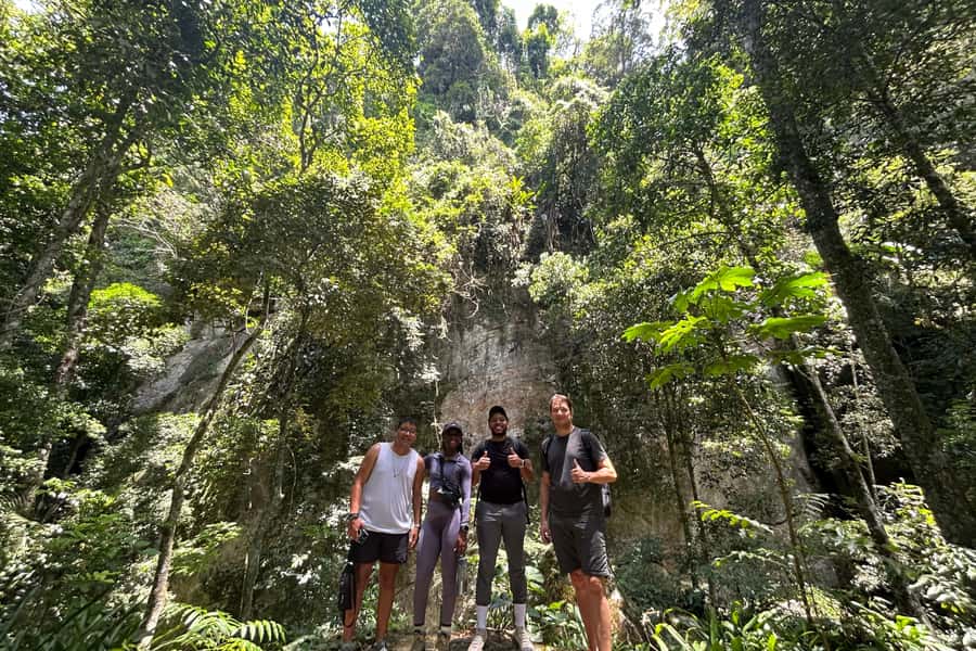 Rio de Janeiro: Tijuca National Park Tour - The walking is manageable, but not completely effortless