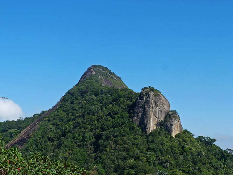Rio de Janeiro: Tijuca Peak Guided Hike - Cachoeira das Almas, a welcome forest stop