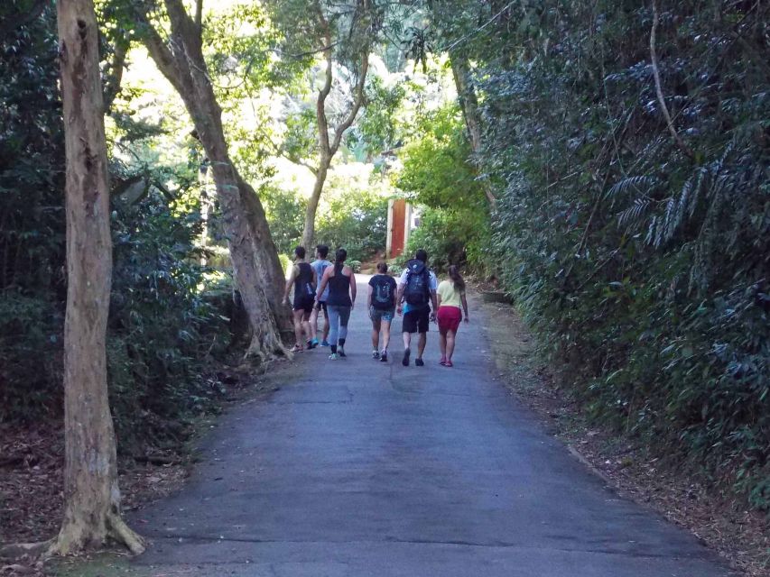 Rio de Janeiro: Tijuca Peak Guided Hike - The museum and the story of the forest