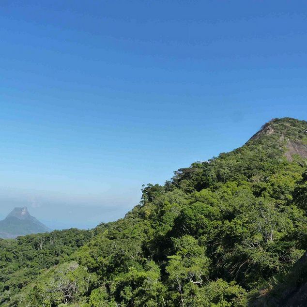 Rio de Janeiro: Tijuca Peak Guided Hike - Guides, languages, and group size
