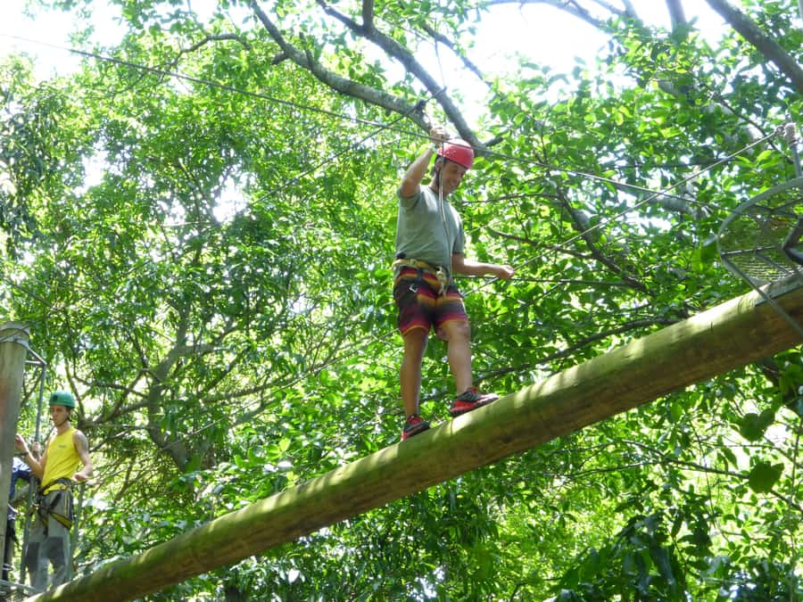 Rio de Janeiro: Zip Lining and Canopy Tree Tour - A forest outing only 20 minutes from Rio