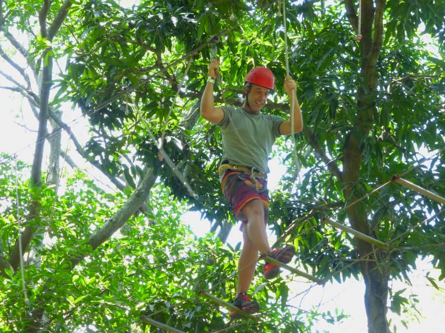 Rio de Janeiro: Zip Lining and Canopy Tree Tour - Canopy platforms and the 30-minute zipline