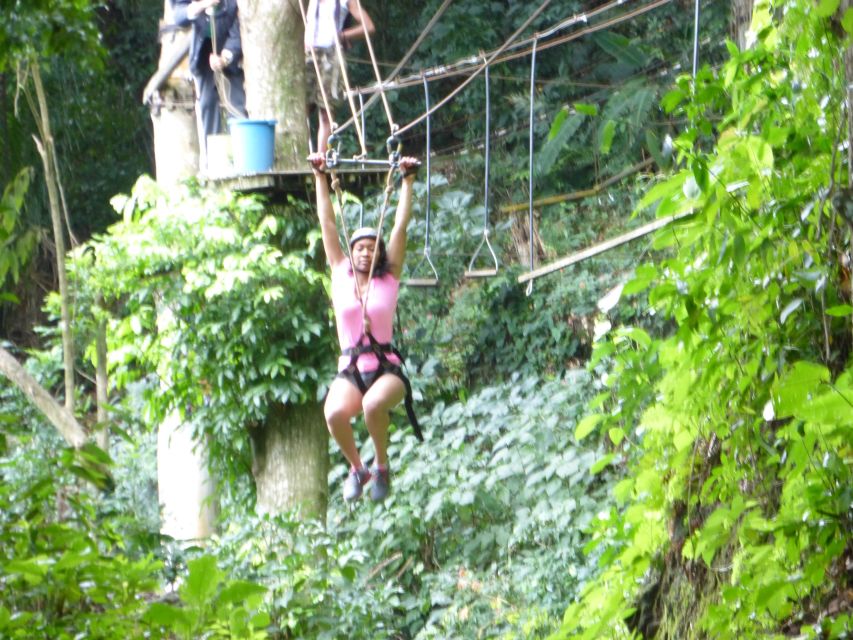 Rio de Janeiro: Zip Lining and Canopy Tree Tour - What the guide adds to the experience