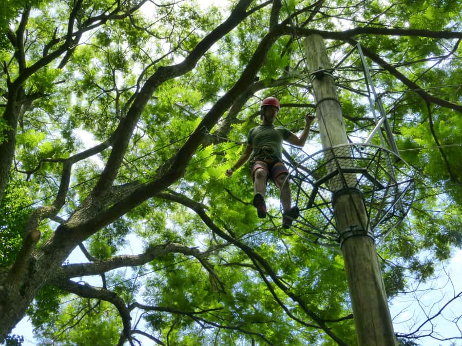 Rio de Janeiro: Zip Lining and Canopy Tree Tour - The real price: $80 plus activity charges