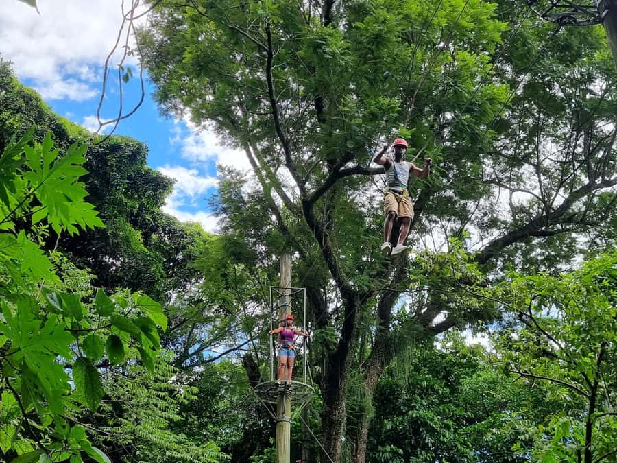 Rio de Janeiro: Zip Lining and Canopy Tree Tour - The one-hour hike and Catacumba’s viewpoints