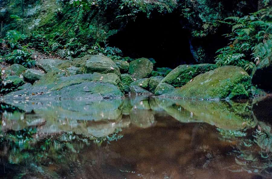 Rio: Half-Day Jeep Tour at Floresta da Tijuca - Quick points to know before booking