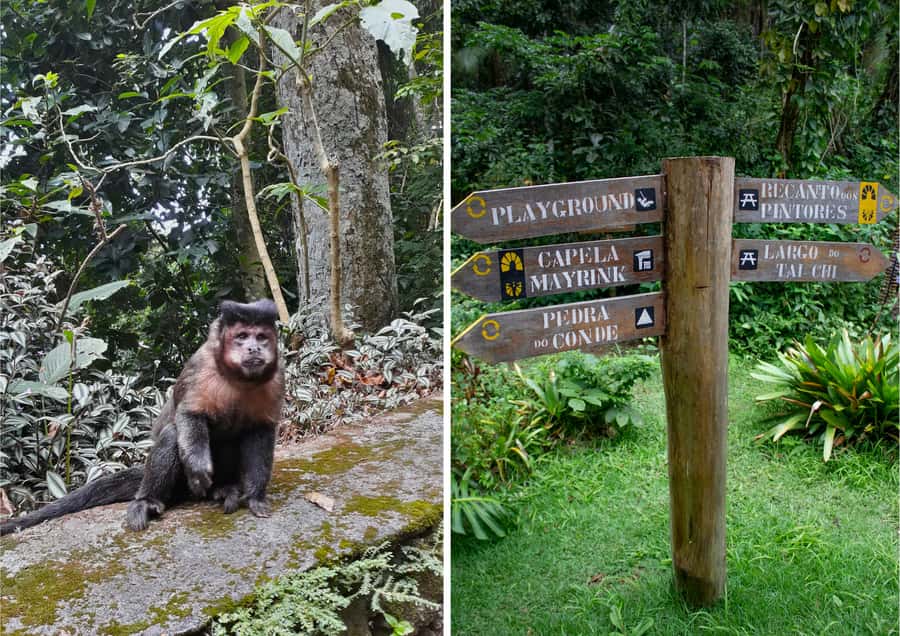 Rio: Half-Day Jeep Tour at Floresta da Tijuca - The guides are a major part of the value