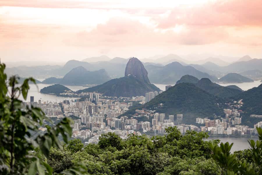 Rio: Half-Day Jeep Tour at Floresta da Tijuca - Why Tijuca Forest makes a smart half-day trip