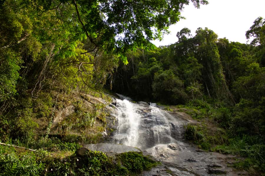 Rio: Half-Day Jeep Tour at Floresta da Tijuca - Taunay Waterfall and the possible swim