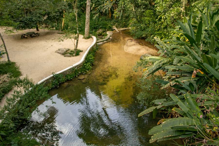 Rio: Half-Day Jeep Tour at Floresta da Tijuca - Mayrink Chapel and the first forest walk