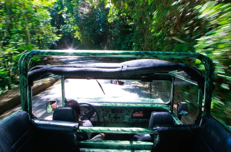Rio: Half-Day Jeep Tour at Floresta da Tijuca - The second trail and the sounds of Atlantic Forest