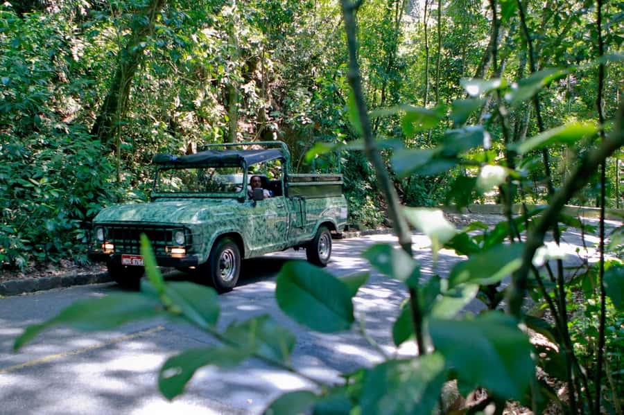 Rio: Half-Day Jeep Tour at Floresta da Tijuca - Hotel pickup and the open-air ride