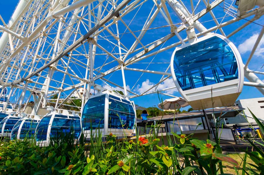 Rio: Museum of Tomorrow, Yup Star & Olympic Boulevard - Key points to know before booking