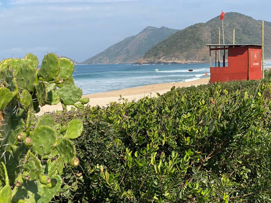 Rio: Pedra do Telégrafo Hiking & Relax in a Wild Beach - Should you book Pedra do Telégrafo and Grumari Beach?