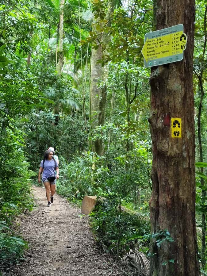 Rio: Private Tour 5 Hours Customized Tour With a Local Guide - Pickup, vehicle, and comfort