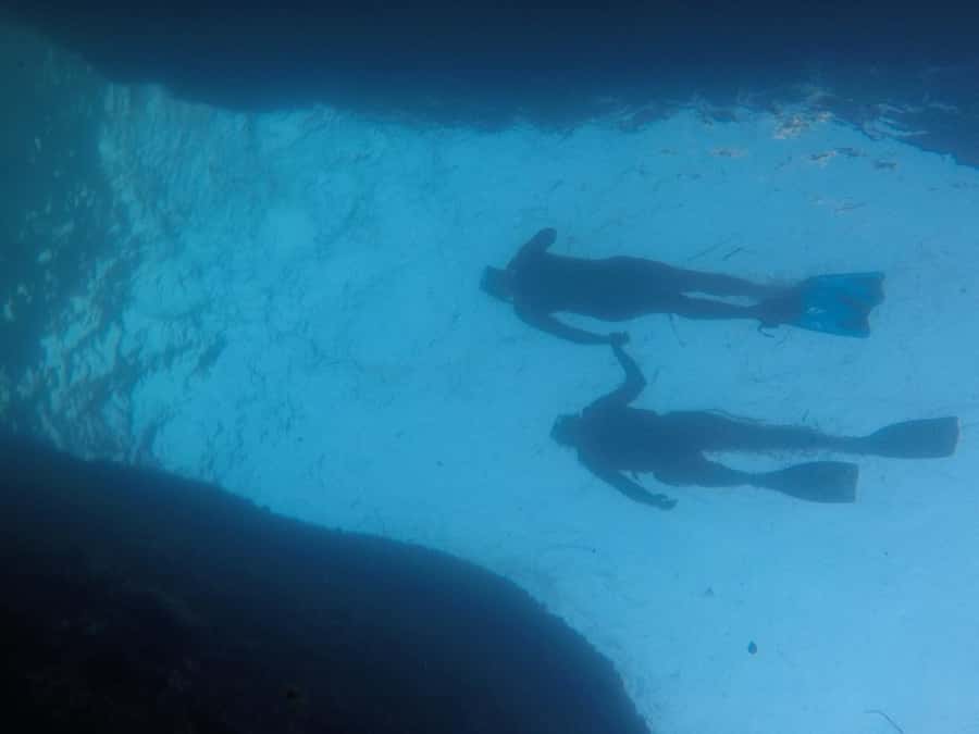 Rio: Snorkel & Swim with Turtles Tour at Tijuca Islands - Key points to know before booking