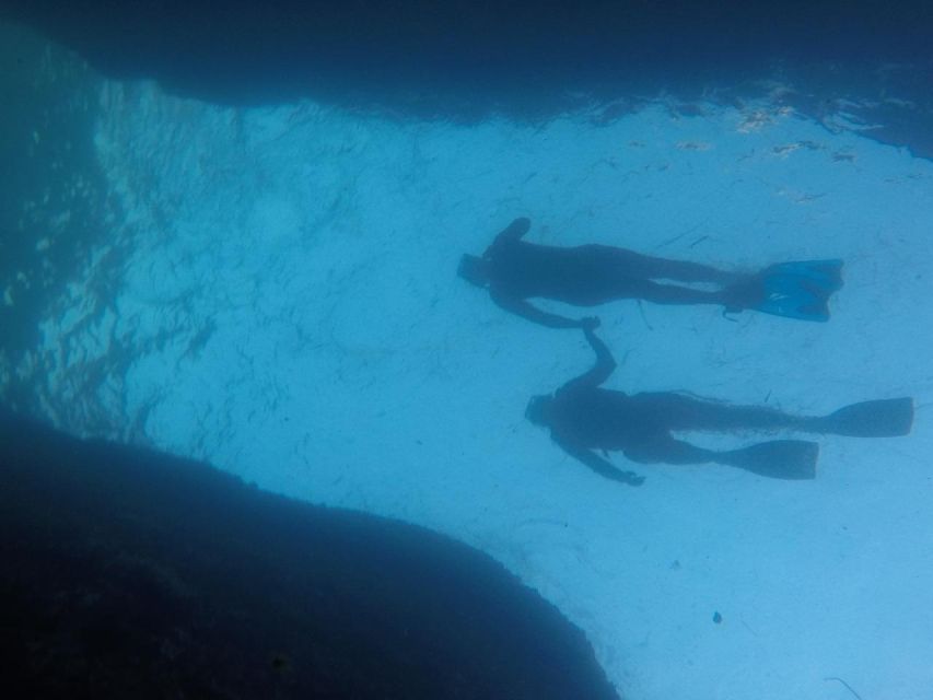 Rio: Snorkel & Swim with Turtles Tour at Tijuca Islands - One hour of snorkeling, swimming, and photos