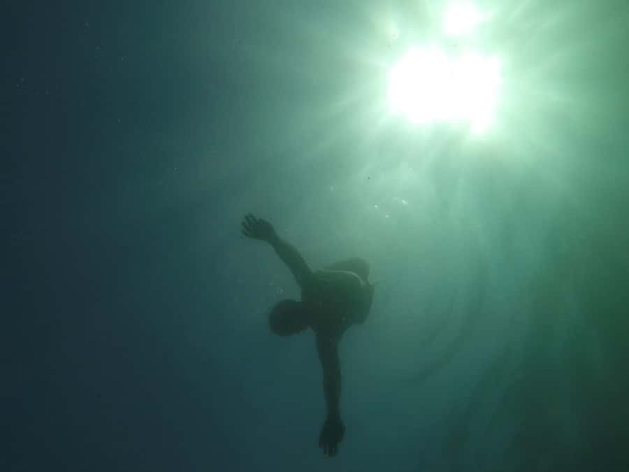 Rio: Snorkel & Swim with Turtles Tour at Tijuca Islands - A possible 30-minute island walk