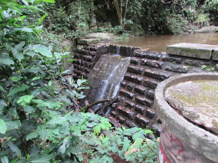 Rio: Tijuca Forest & Horto Waterfalls Circuit Tour - Key points to know before you book