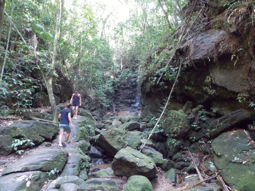 Rio: Tijuca Forest & Horto Waterfalls Circuit Tour - Why Horto is one of Rio’s best short escapes