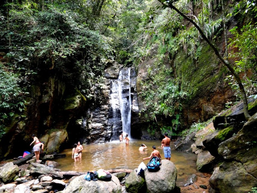 Rio: Tijuca Forest & Horto Waterfalls Circuit Tour - Jequitibá Waterfall and the first real swim